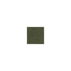 Green Upholstered Accent Chair with Exposed Frame